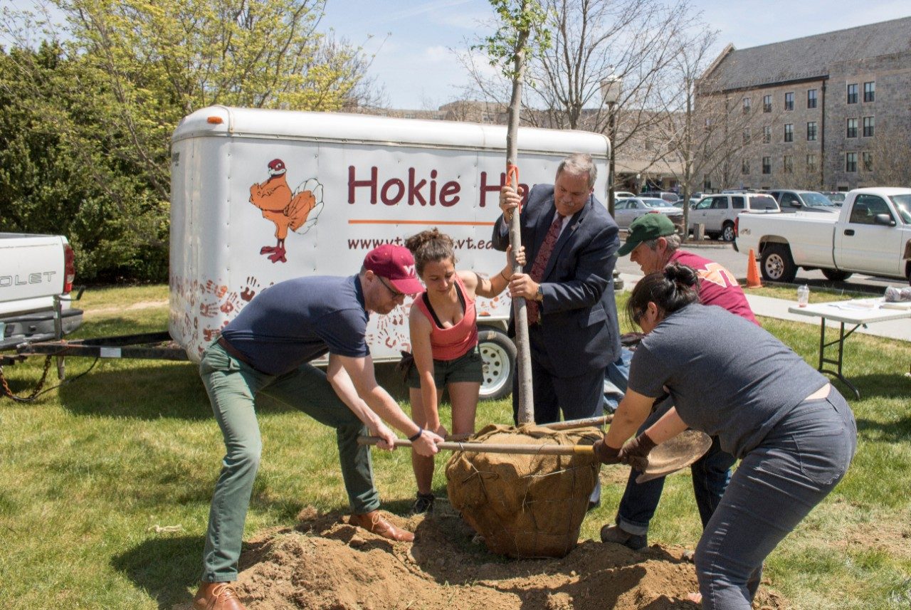 Students and employees working together to place a sapling in a newly dug hole.