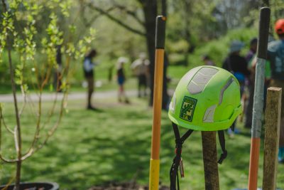A green hard hat with a certified arborist sticker on it sits on top of a post with a small tree and several people in the background