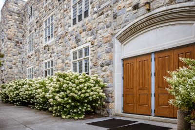Side entrance to grey Hokie Stone Burruss Hall surrounded by white hydrangeas. 